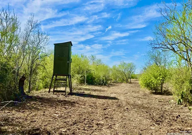 Photo 3 of Land for sale at 0 County Road 107, Runge, TX 78151 | MLS# 1926986 | Listing updated on 2026-01-15