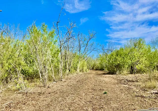 Photo 3 of House for sale at 0 County Road 107, Runge, TX 78151 | MLS# 1926986 | Listing updated on 2026-01-15