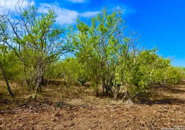 Photo 4 of House for sale at 0 County Road 107, Runge, TX 78151 | MLS# 1926986 | Listing updated on 2026-01-15