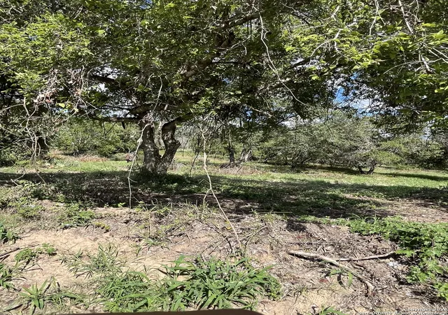 11th image of Lot H 497 Cr 124, Floresville, TX 78114 | MLS# 1927024