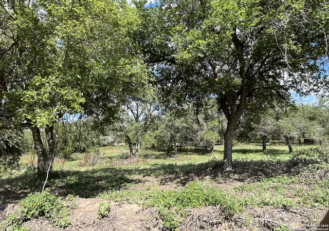 23rd image of Lot I 497 County Rd 124, Floresville, TX 78114 | MLS# 1927025