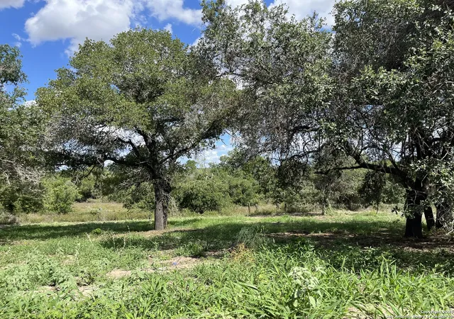 Homes for sale in Floresville, TX | Lot D 497 Cr 124, Floresville, TX 78114 | MLS# 1927026