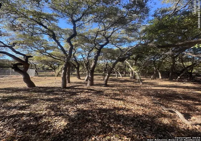 3rd image of 227 Branch Oak Way, Shavano Park, TX 78230 | MLS# 1927233