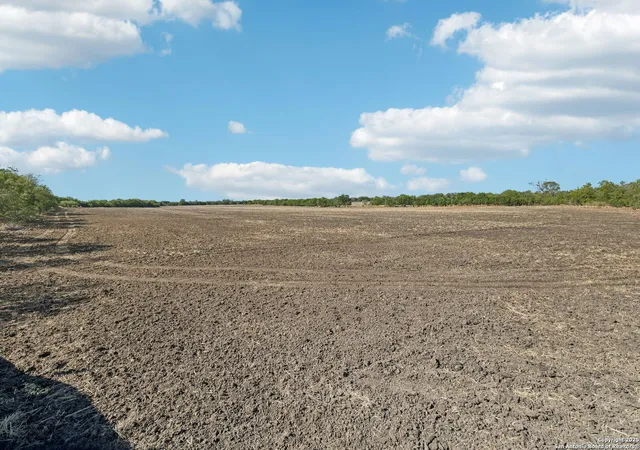 Photo 4 of Land for sale at 11735 Obrien, Atascosa, TX 78002 | MLS# 1927416 | Listing updated on 2026-05-03
