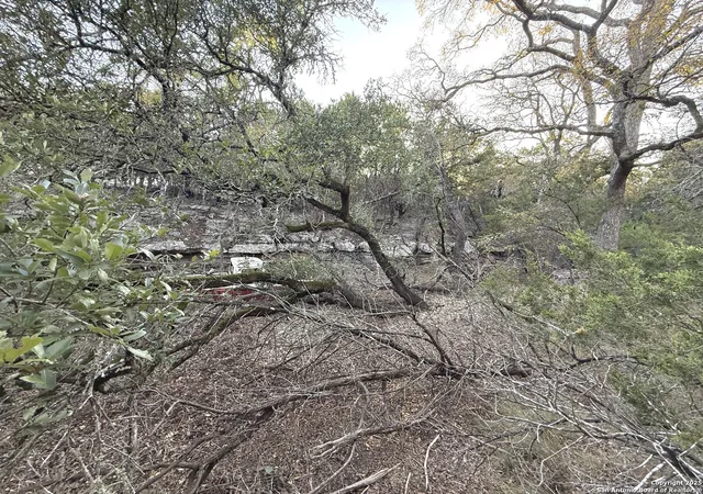 40th image of 1310 Springwood, Spring Branch, TX 78070 | MLS# 1927428