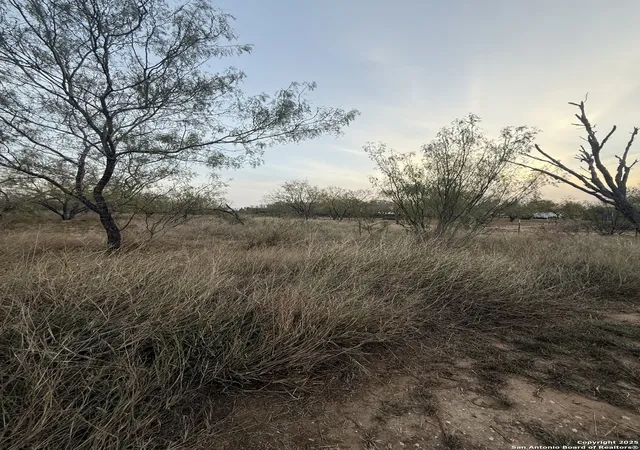 Photo 3 of Land for sale at 113 Cr 2672, Devine, TX 78016 | MLS# 1928310 | Listing updated on 2026-03-29
