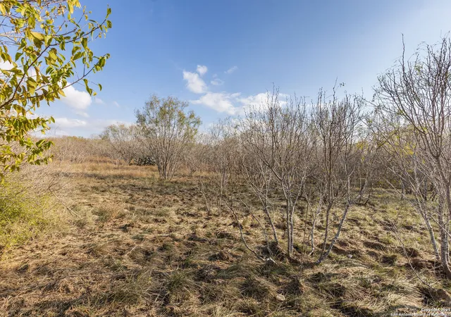 Photo 11 of Land for sale at 000 Gin, Marion, TX 78124 | MLS# 1928452 | Listing updated on 2026-04-24