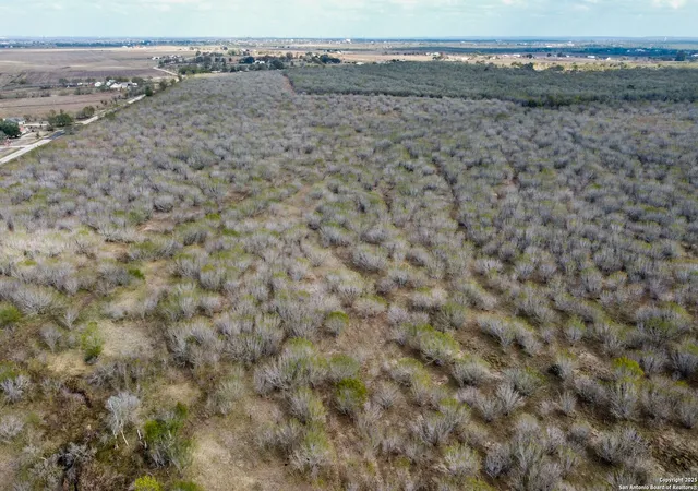 Photo 3 of Land for sale at 000 Gin, Marion, TX 78124 | MLS# 1928452 | Listing updated on 2026-04-24