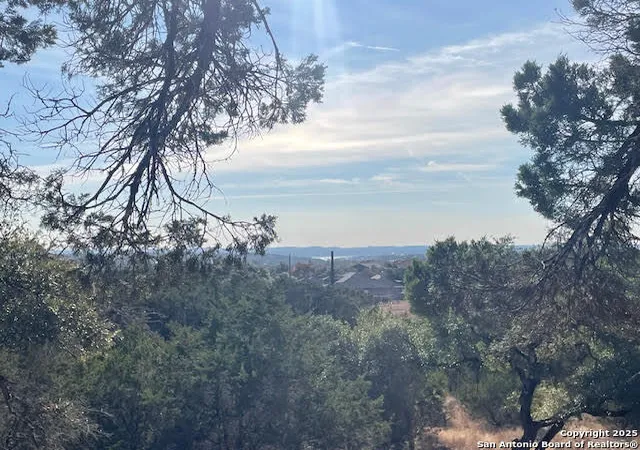 1st image of 426 Coneflower Dr, Spring Branch, TX 78070 | MLS# 1928574