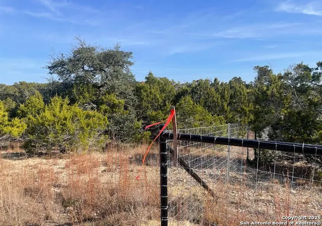 28th image of 426 Coneflower Dr, Spring Branch, TX 78070 | MLS# 1928574