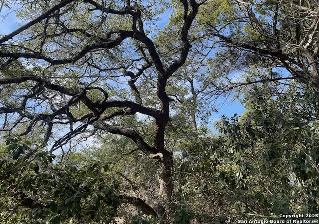 4th image of 426 Coneflower Dr, Spring Branch, TX 78070 | MLS# 1928574