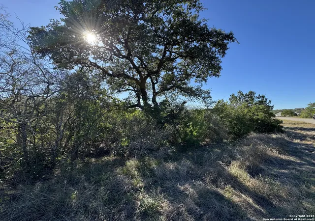 3rd image of Lot 193 County Road 2801, Mico, TX 78056 | MLS# 1928727