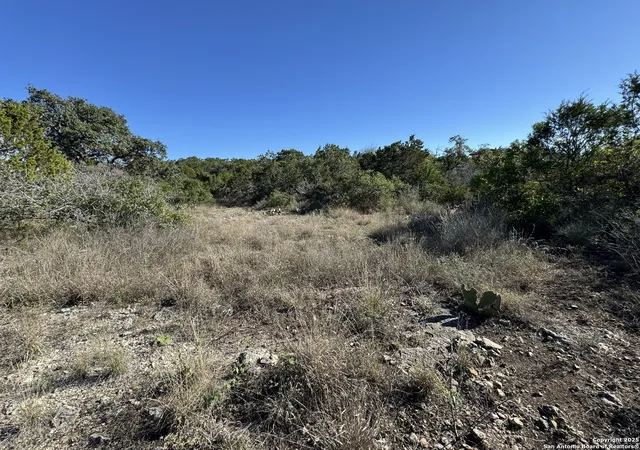 5th image of Lot 193 County Road 2801, Mico, TX 78056 | MLS# 1928727