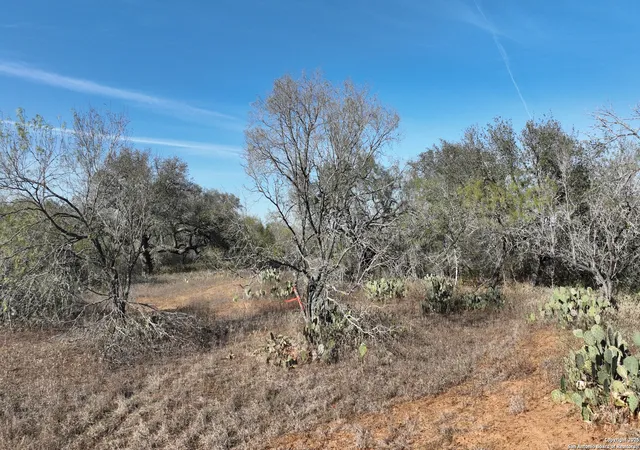 4th image of 001 Cr 307, Jourdanton, TX 78026 | MLS# 1928802