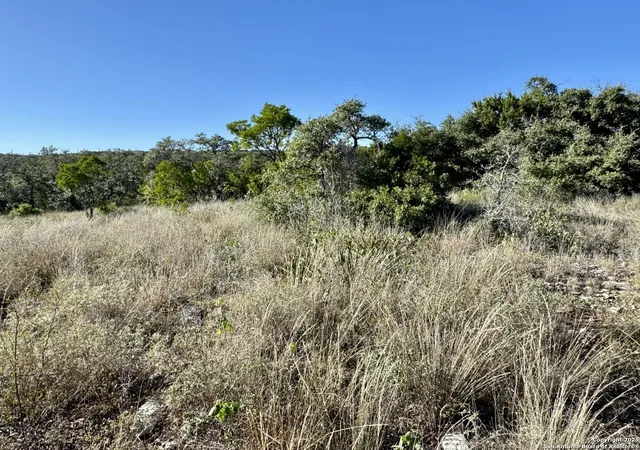 5th image of Lot 31 W Cr 2801, Mico, TX 78056 | MLS# 1929423