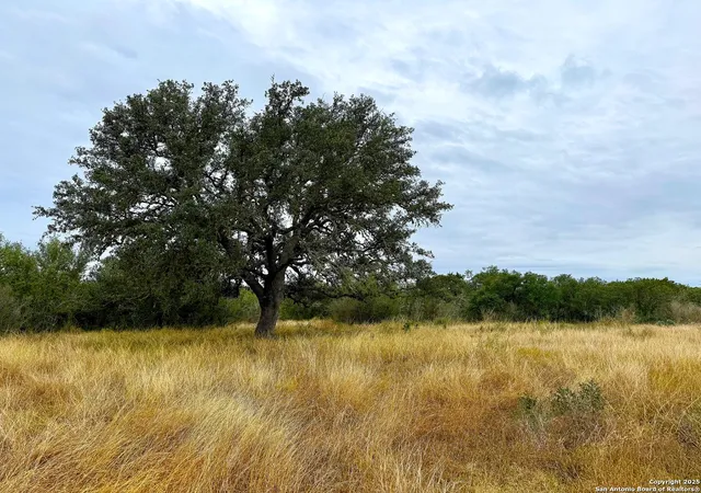 Photo 4 of Land for sale at 261 Grand Ranch, Hondo, TX 78861 | MLS# 1930250 | Listing updated on 2026-02-05