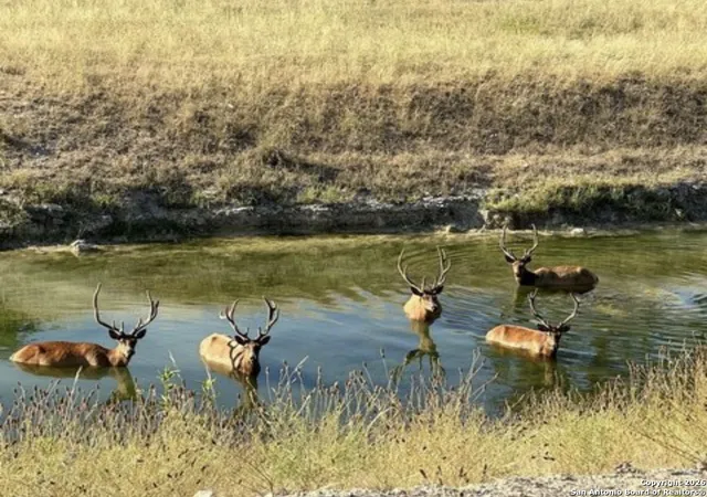 2nd image of Lot 31 Bison Court, Comfort, TX 78013 | MLS# 1930417