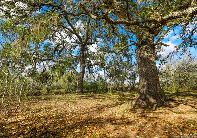 Photo 2 of Land for sale at 0 Cr 115, Kenedy, TX 78119 | MLS# 1930527 | Listing updated on 2026-06-22