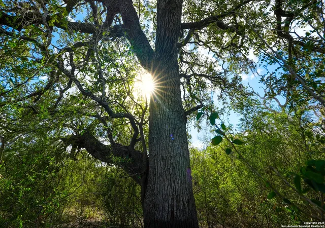 Photo 3 of Land for sale at 0 Cr 115, Kenedy, TX 78119 | MLS# 1930527 | Listing updated on 2026-06-22