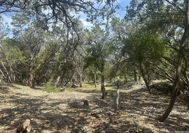 5th image of 543 Narrows, Blanco, TX 78606 | MLS# 1930593