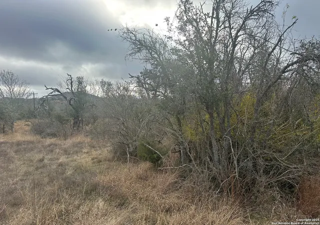 2nd image of 119 Platten Creek, Boerne, TX 78006 | MLS# 1930670
