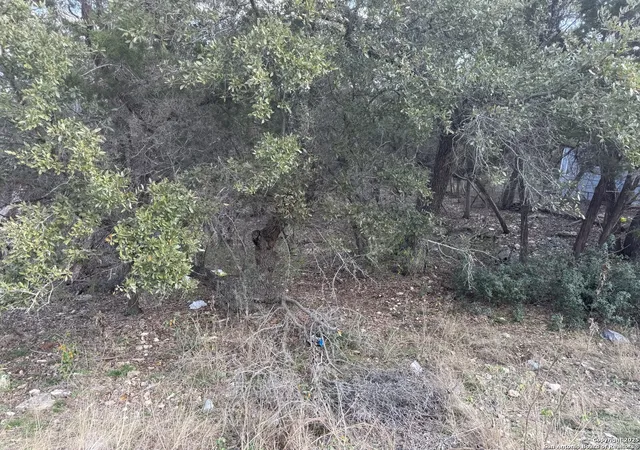 4th image of 686 Hillclimb, Canyon Lake, TX 78133 | MLS# 1930776
