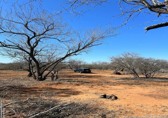 Photo 3 of Land for sale at 260 County Road 2662, Moore, TX 78057 | MLS# 1931275 | Listing updated on 2026-01-14
