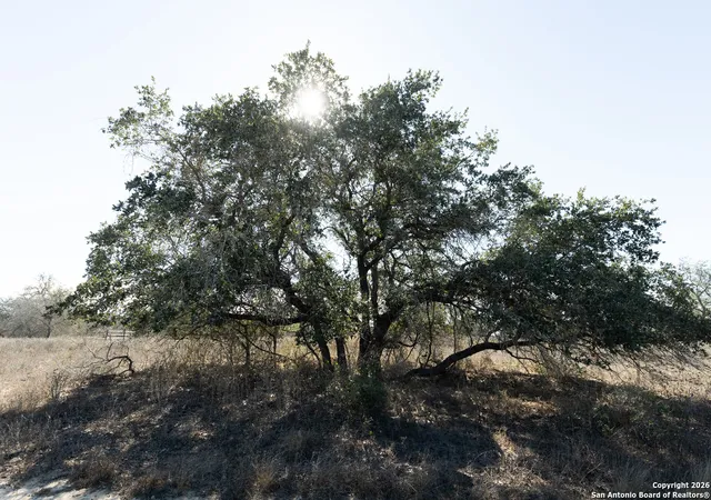1st image of 2743 & 2739 Cr 770, Natalia, TX 78059 | MLS# 1931316
