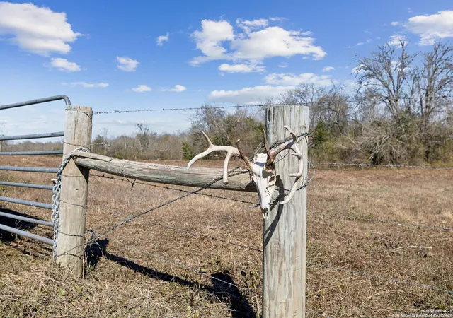 3rd image of 3424 Post Oak Point, New Ulm, TX 78950 | MLS# 1931689