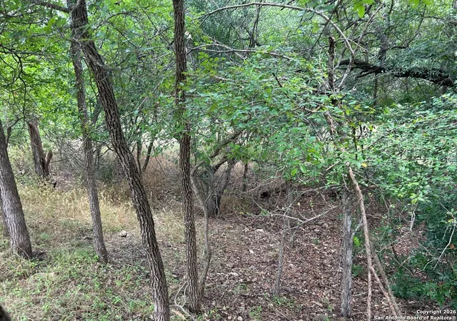 4th image of 9200 Marymont, San Antonio, TX 78217 | MLS# 1932257