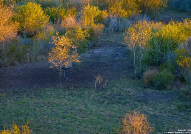 Photo 3 of Land for sale at 000 W Air Base Rd, Goliad, TX 77963 | MLS# 1932419 | Listing updated on 2026-02-02