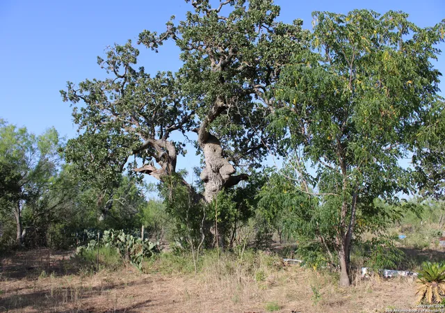 Photo 2 of Land for sale at 760 N Greytown Rd, St. Hedwig, TX 78152 | MLS# 1932956 | Listing updated on 2026-10-08