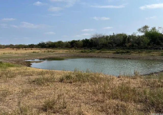 1st image of 87 Quinney, Carrizo Springs, TX 78834 | MLS# 1933403