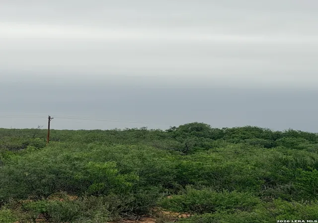 Photo 3 of Land for sale at 87 Quinney, Carrizo Springs, TX 78834 | MLS# 1933403 | Listing updated on 2026-05-22