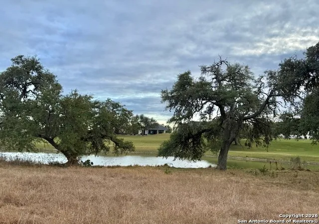 3rd image of 102 Savannah Ct, Blanco, TX 78606 | MLS# 1933804