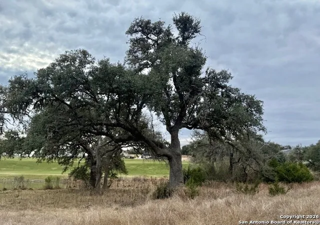 2nd image of 102 Savannah Ct, Blanco, TX 78606 | MLS# 1933804