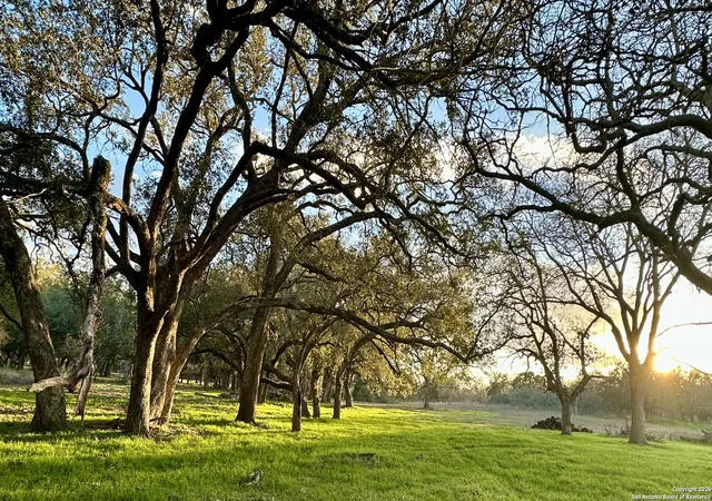 36th image of Tbd Wiseman, La Vernia, TX 78121 | MLS# 1934012