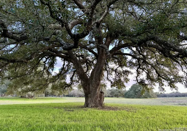 1st image of Tbd Wiseman, La Vernia, TX 78121 | MLS# 1934012