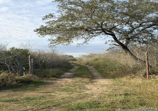 Homes for sale in St. Hedwig, TX | 17044 Wildhorse, St. Hedwig, TX 78152 | MLS# 1934110