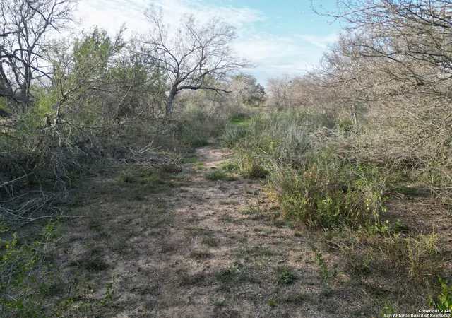 Homes for sale in St. Hedwig, TX | 17044 Wildhorse, St. Hedwig, TX 78152 | MLS# 1934110