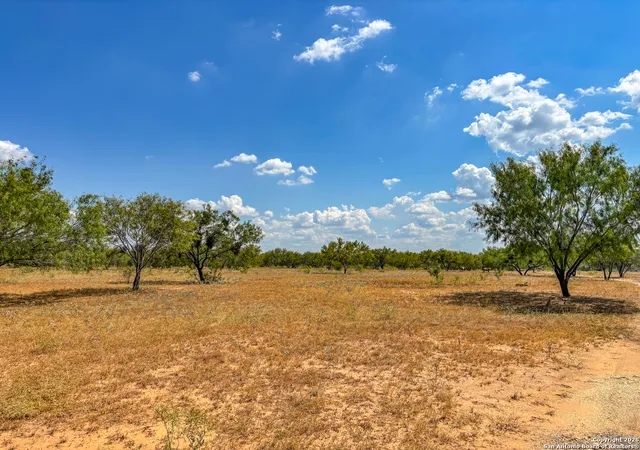 29th image of 1460 County Road 1660, Moore, TX 78057 | MLS# 1934429