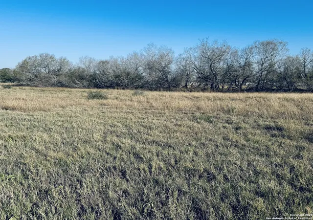 Photo 3 of Land for sale at Tbd Byrd Rd, Pleasanton, TX 78064 | MLS# 1934793 | Listing updated on 2026-08-04