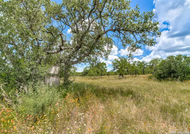 Photo 3 of Land for sale at Tbd Hickory Grove Road, Mason, TX 76856 | MLS# 1935121 | Listing updated on 2026-08-30