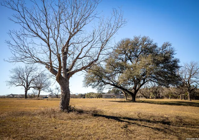 22nd image of 833 Bingham, New Braunfels, TX 78132 | MLS# 1935691