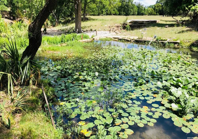 1st image of 335 Rittimann, Spring Branch, TX 78070 | MLS# 1936035