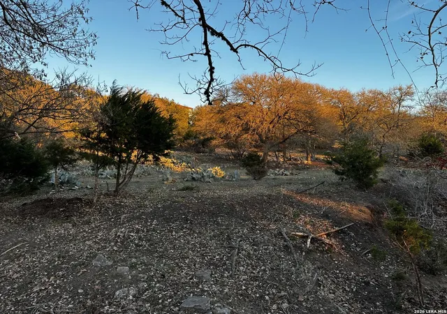 31st image of 335 Rittimann, Spring Branch, TX 78070 | MLS# 1936035