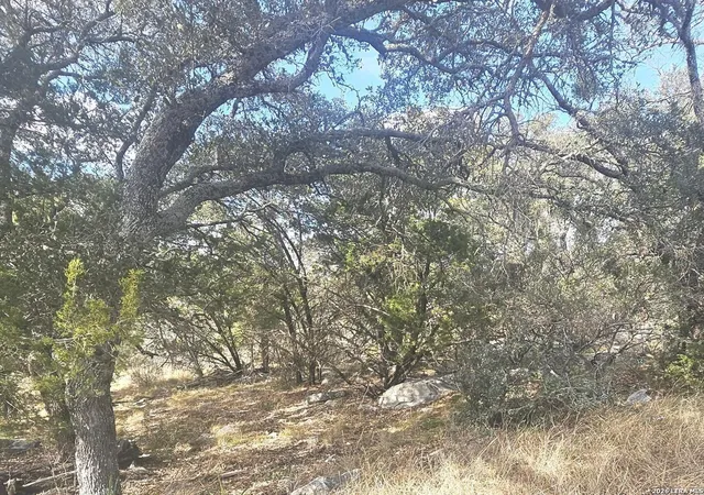 25th image of Prospect/yucca Prospect/yucca, Horseshoe Bay, TX 78657 | MLS# 1936113