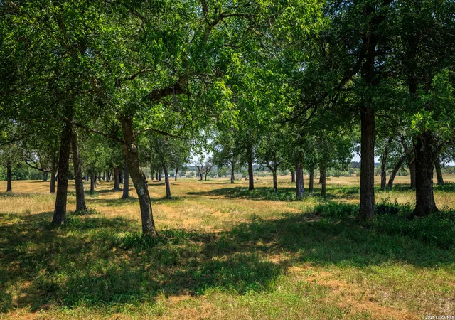 Photo 3 of Land for sale at 10 Cosper, Comfort, TX 75013 | MLS# 1936383 | Listing updated on 2026-02-03