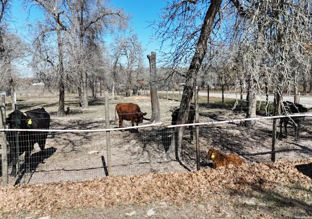 Photo 3 of Sale Pending at 470 Lyon, Seguin, TX 78155 | MLS# 1936533 | Listing updated on 2026-09-14
