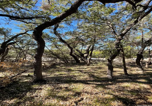 Photo 3 of Land for sale at 651 Cypress Dr, Canyon Lake, TX 78133 | MLS# 1936545 | Listing updated on 2026-02-05